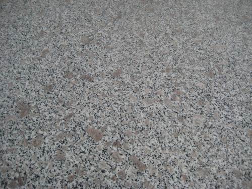 pearl flower G383 granite