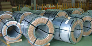 Stainless steel coil