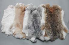 animal  pelt