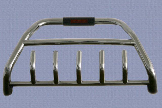 Chrome front Guard