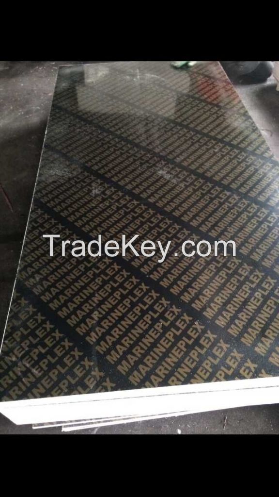 China wood supplier 18mm Marine Plywood