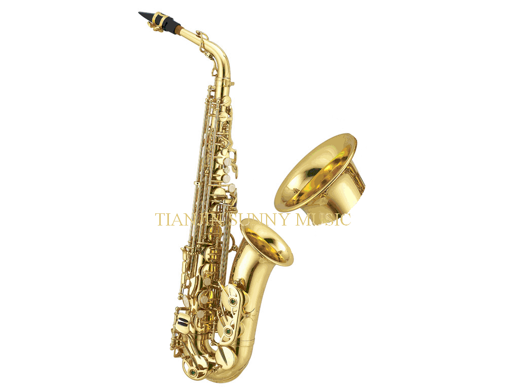 SELL ALTO SAXOPHONE/SAXOPHONE