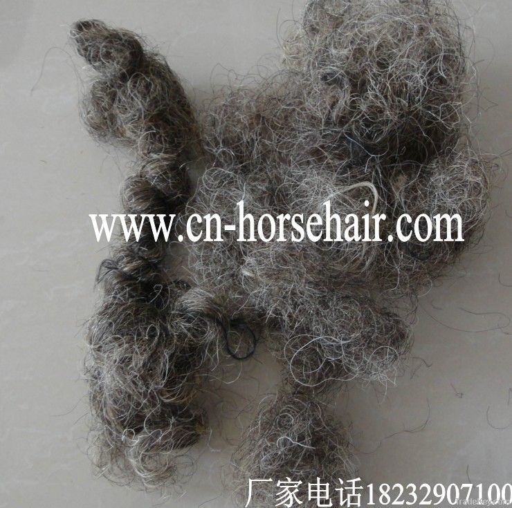 curled horse hair for mattress