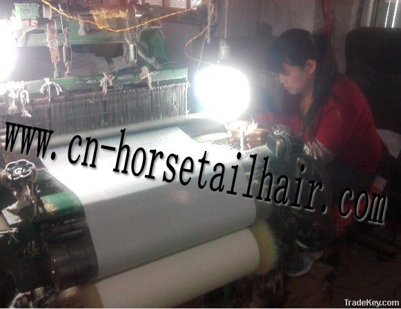 Horse Hair Interling Fabric