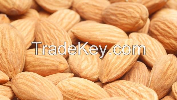 Almond kernel