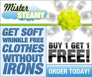 mister steamy dryer ball