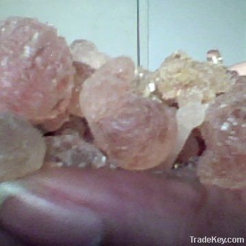 GUM ARABIC