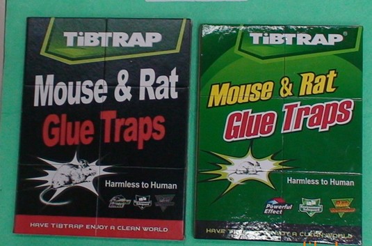 mouse glue trap