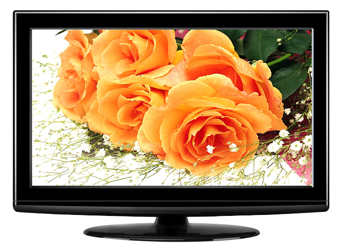 LCD TV (with USB/ DVD)