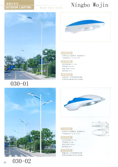 LED Street Light