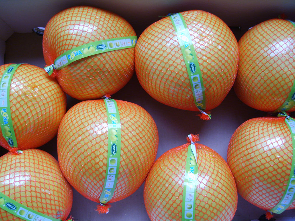 HONEY POMELO