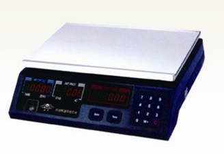 Electronic Scale