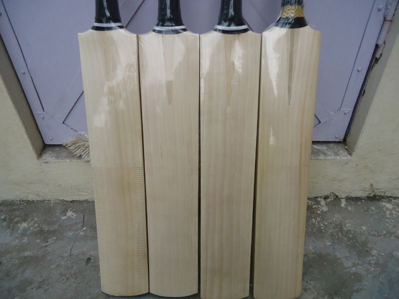 english willow cricket bat