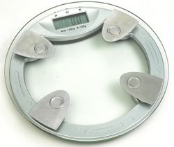 Body Fat Scale