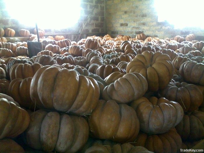 Pumpkins