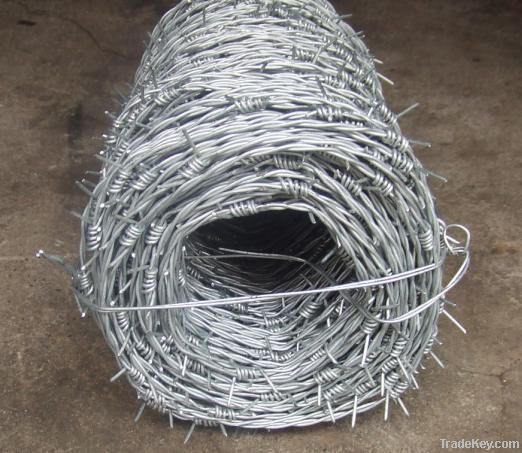 galvanized barbed wire