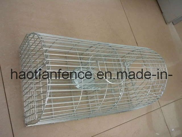 Mousetrap / Cage