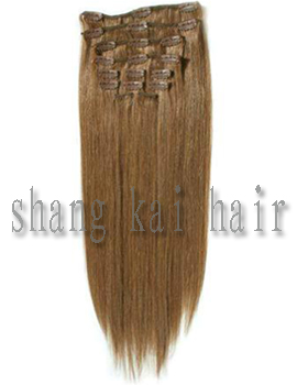 clip in hair extension