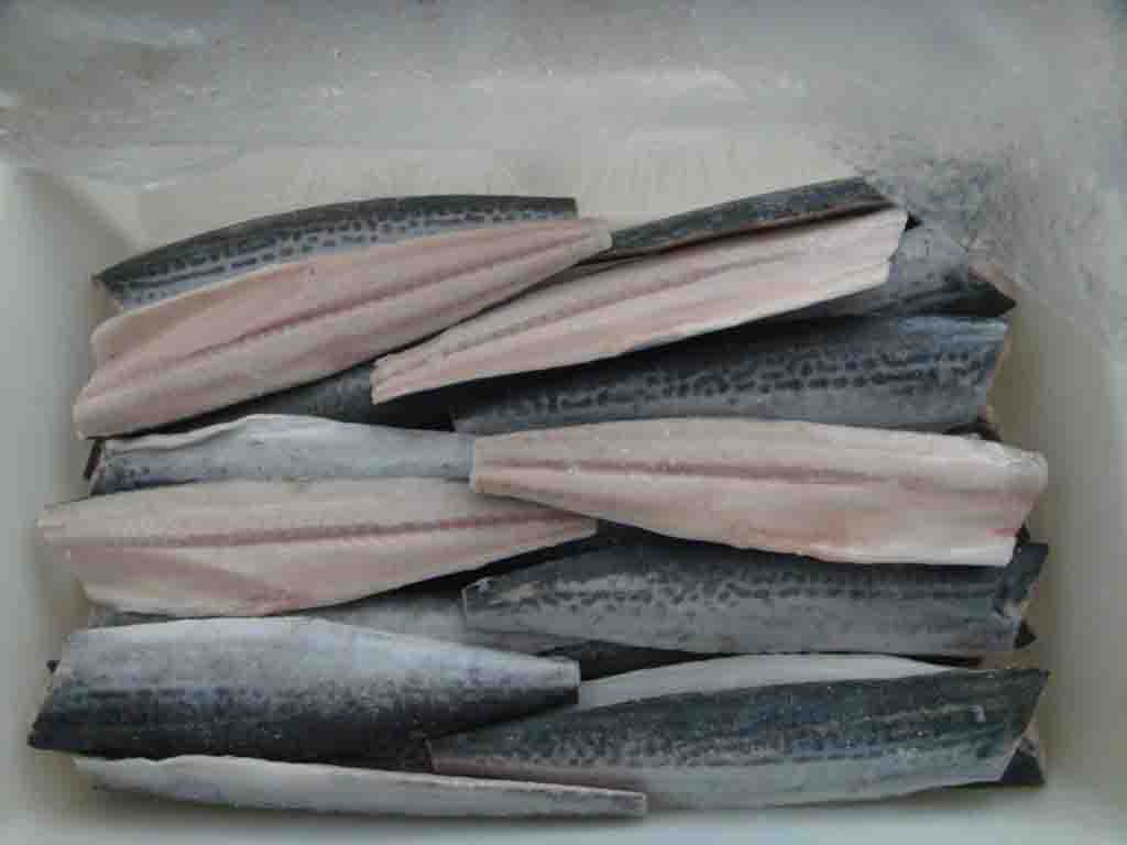 Spanish Mackerel Fillets