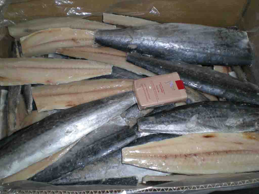 Spanish Mackerel Fillets