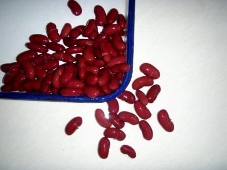 canned red kidney beans