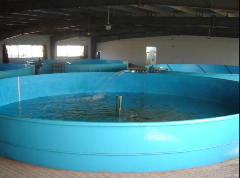 fibreglass fish tank, fiberglass fish tank, FRP fish for the fish farm