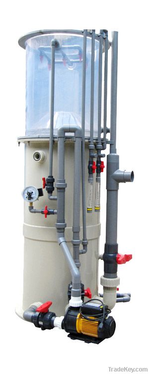 Large marine protein skimmer for the Recirculating Aquaculture System