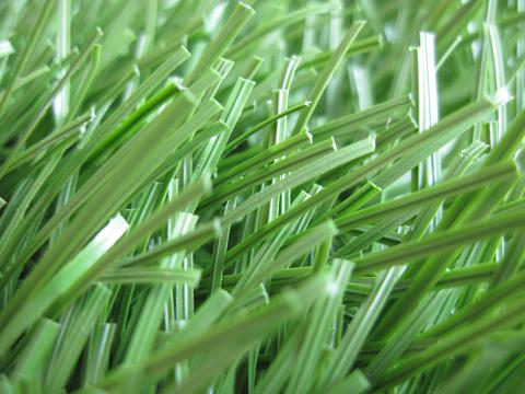 gardening grass