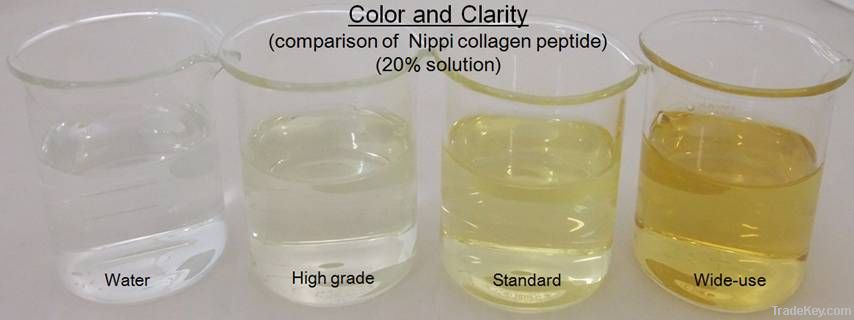 Collagen Peptide