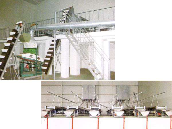 Peanut screening machine