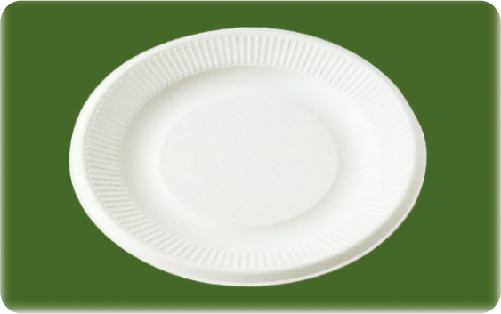 Disposable sugarcane pulp round plate