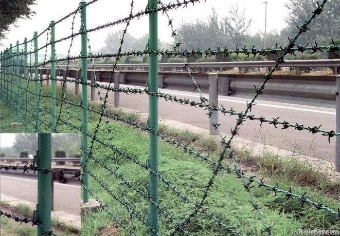 Galvanized Barbed Wires