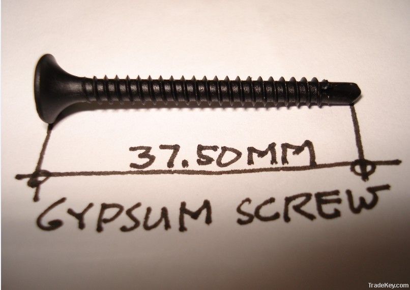 Drywall Screw