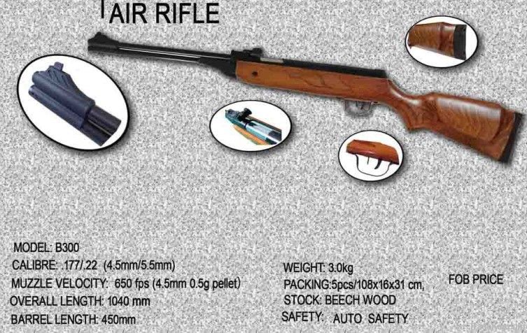 spring air rifle