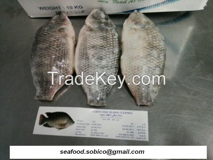 Frozen Black Tilapia WGGS. CHEAP PRICE. Skype: seafood.sobico 