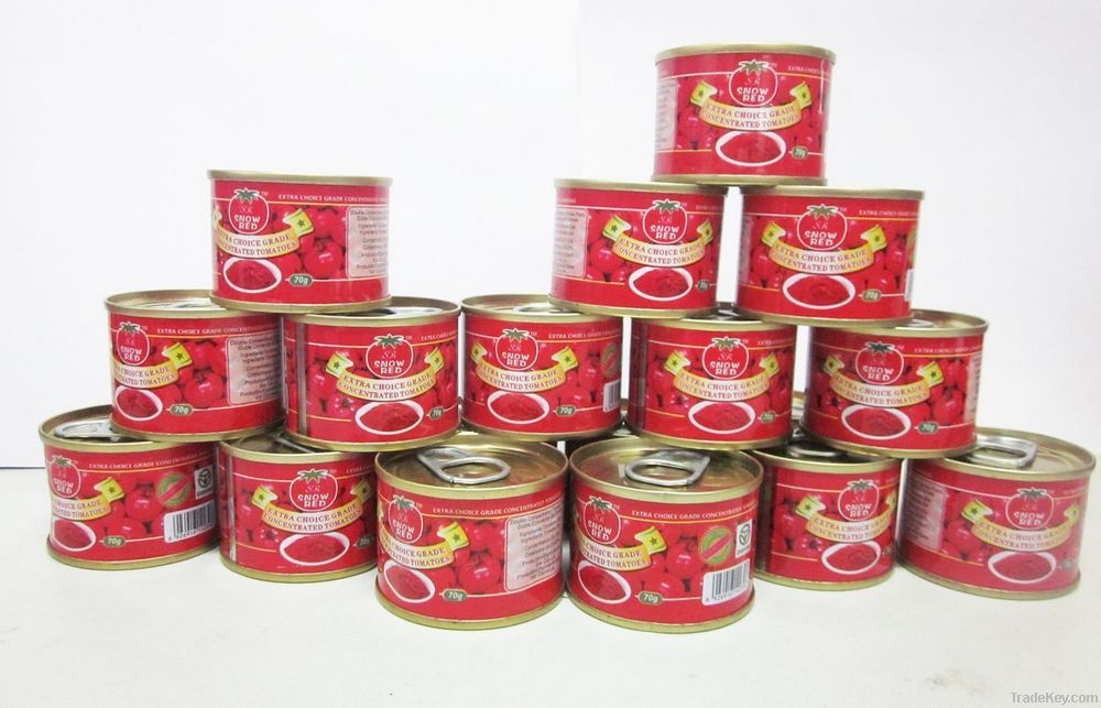 canned tomato paste