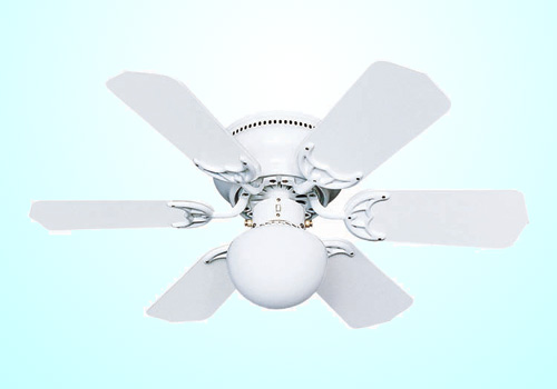 Decorative Ceiling Fans