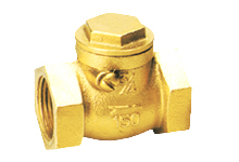 Swing Valve