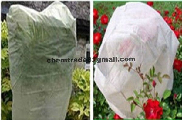 PP Spunbond Non woven Fabric