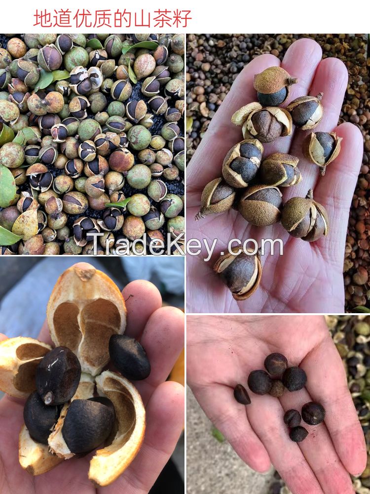 100 Nature Camellia Oil Tea Seeds Oil 0 Additive Edible Oil