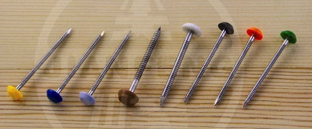 stainless steel Plastic head nail