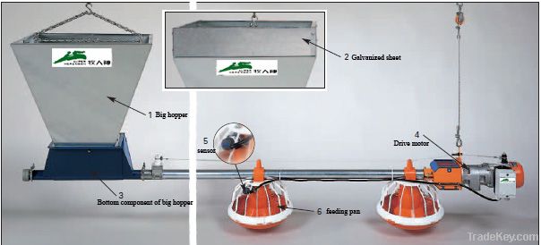 Poultry Farm Equipment