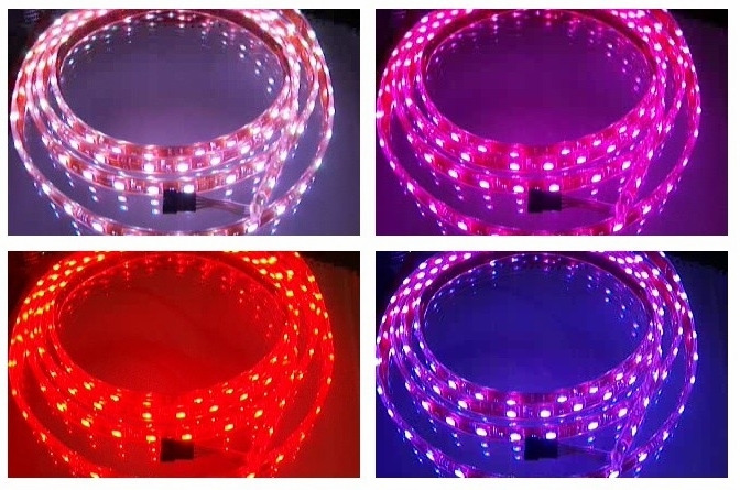 waterproof RGB smd led ribbon12V