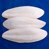 Cuttle fish bone