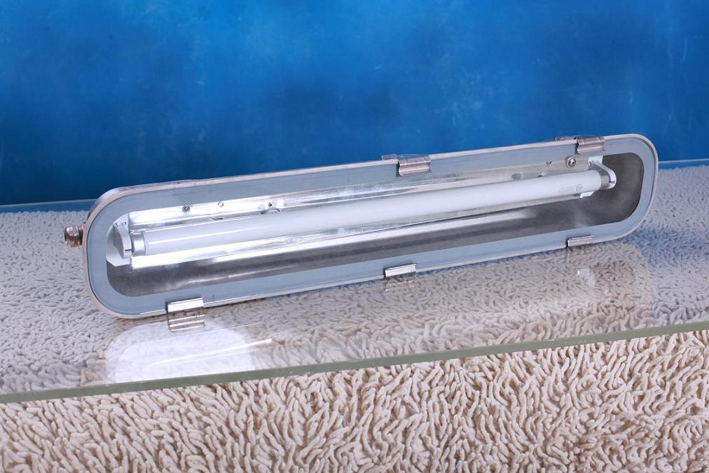 T8  FLUORESCENT LIGHT FIXTURE