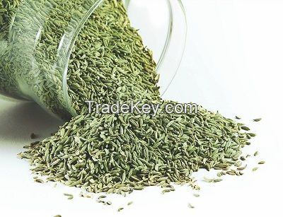 FENNEL SEEDS