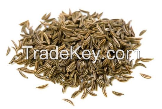 CARAWAY SEEDS