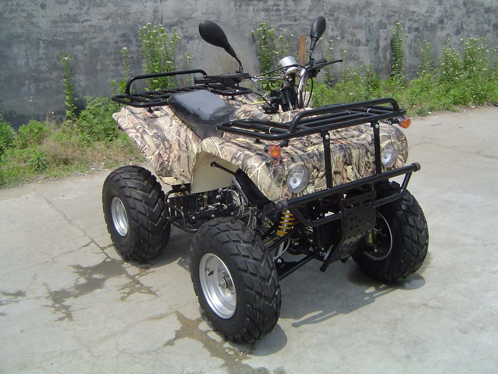 FLZ250 ATV &amp;#65288;EEC)