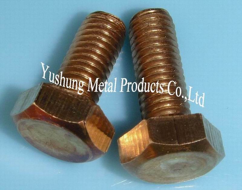 Phosphor bronze bolts