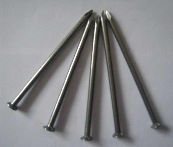 Galvanized common round iron nail(Factory)